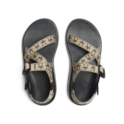 Chacos Z/1 Classic Sandal Limited Edition