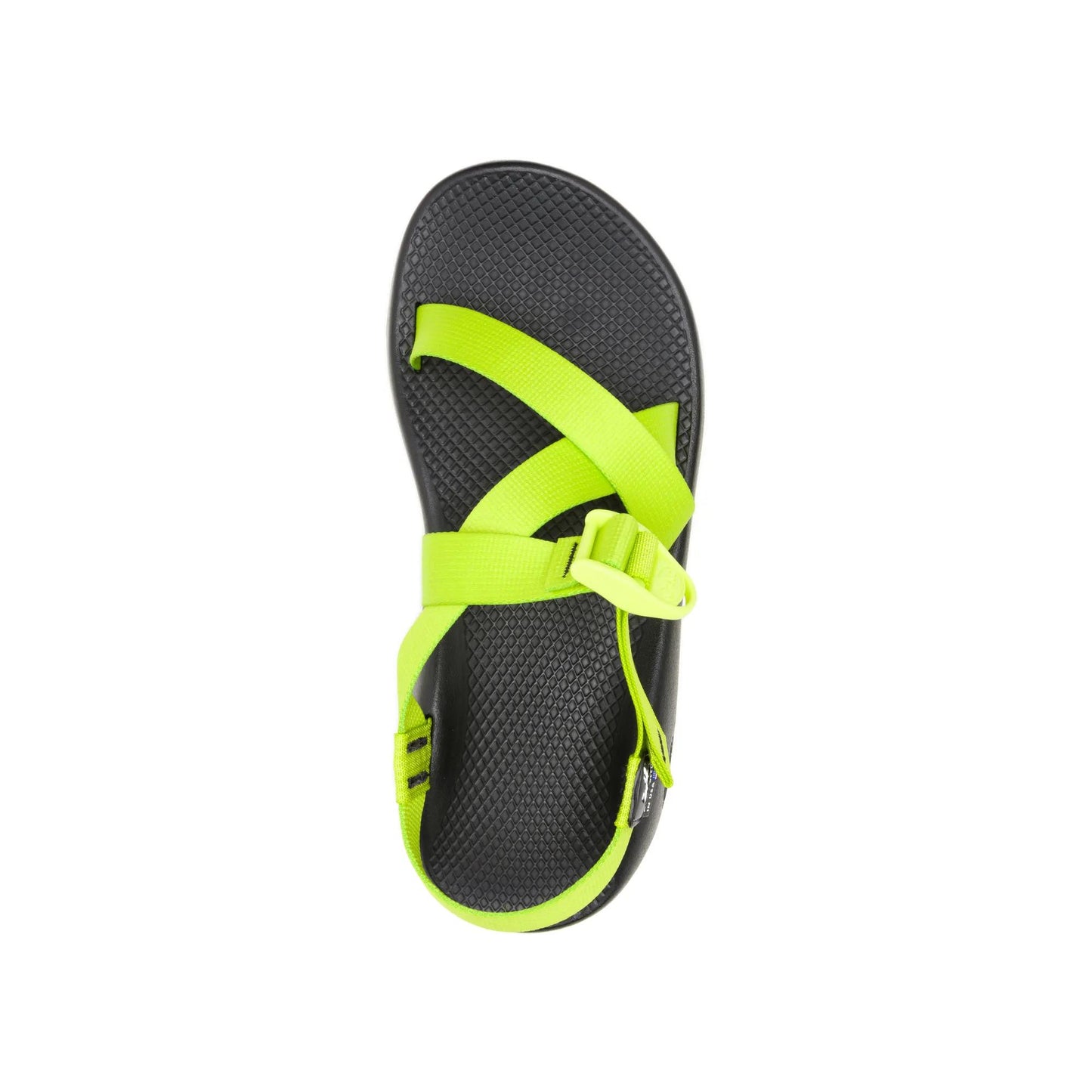 Chacos Z/1 Classic Sandal Limited Edition