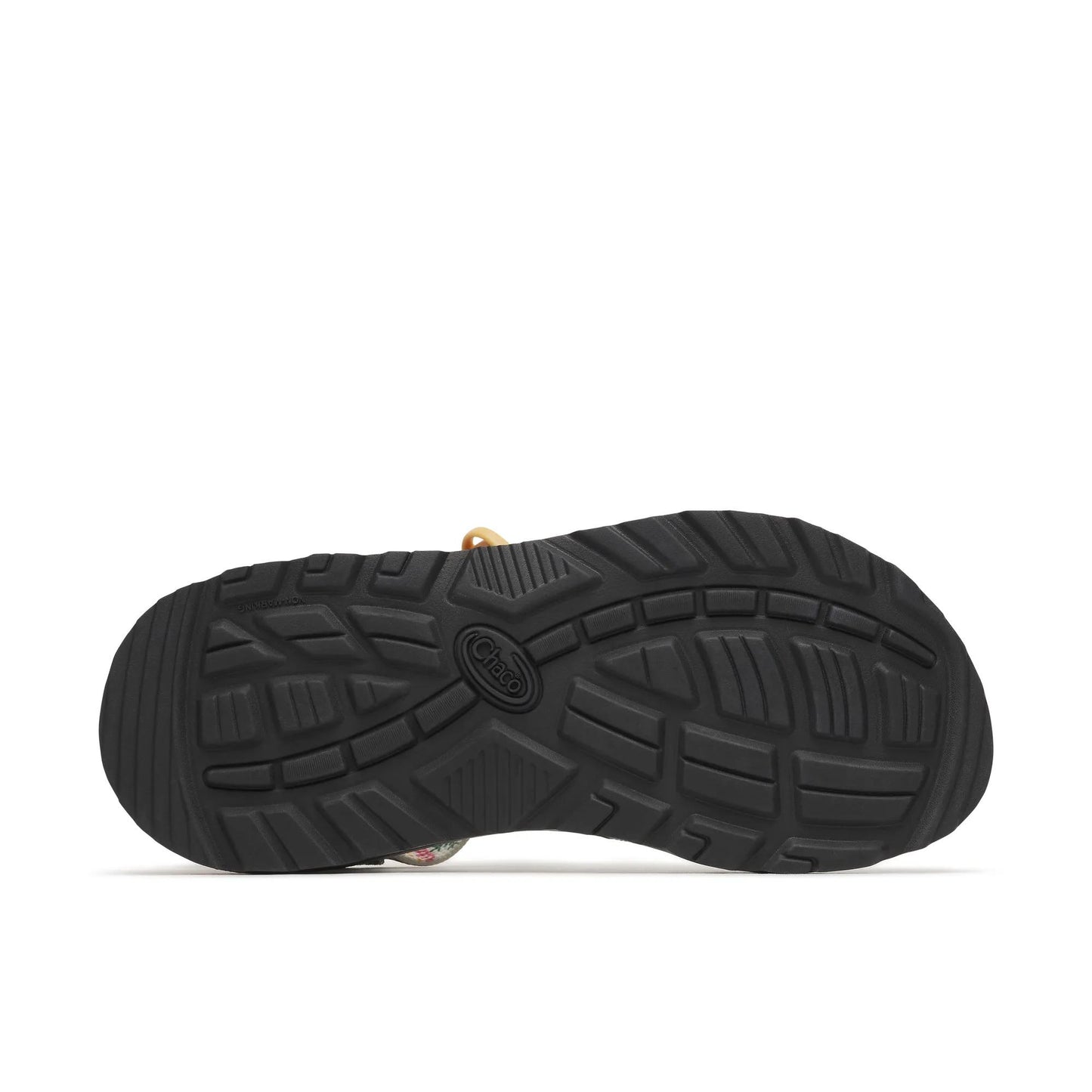 Chacos Z/1 Classic Sandal Limited Edition