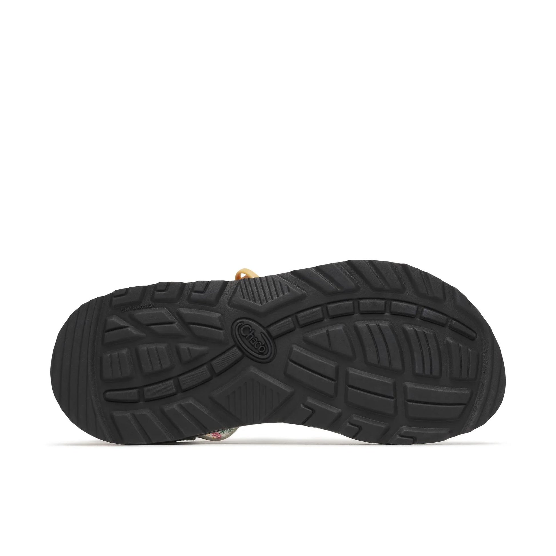 Chacos Z/1 Classic Sandal Limited Edition