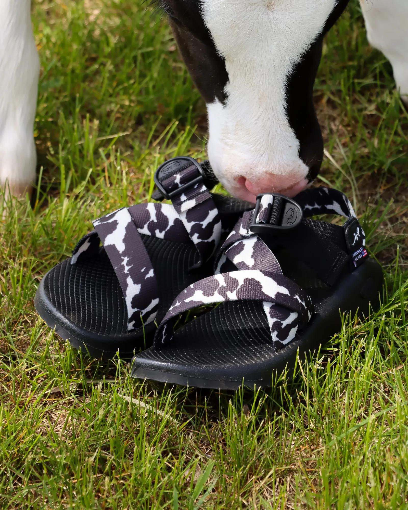 Chacos Mega Z Classic Sandal
