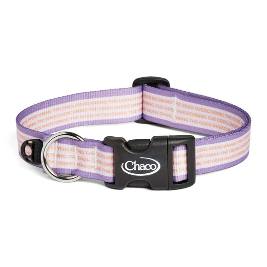 Chacos Dog Collars Accessories Pets