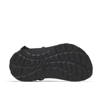 Chacos Little Kid - Pride Z/1 Sandal - Kids Sandals s