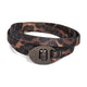 Brown Leopard